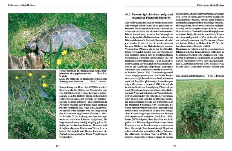 Preview: Ernährung von Landschildkröten